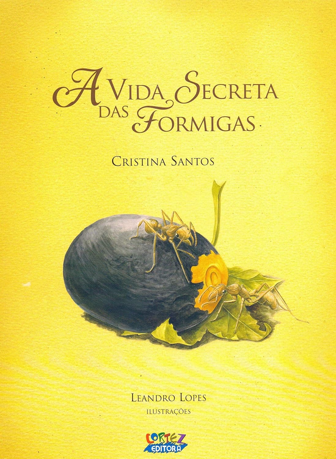 A vida secreta das formigas